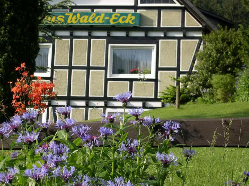 Haus Wald-Eck Appartement Schmallenberg Buitenkant foto