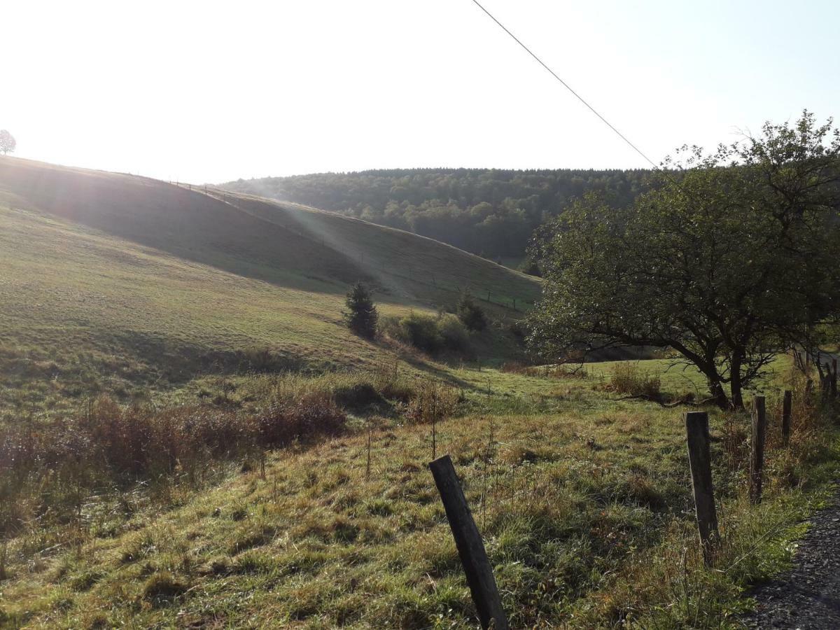 Haus Wald-Eck Appartement Schmallenberg Buitenkant foto